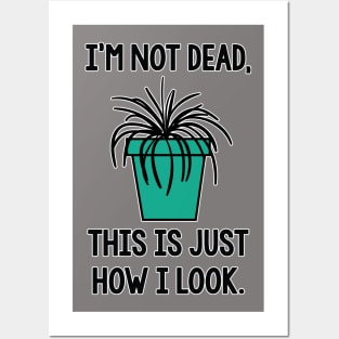 Not Dead Plant Posters and Art